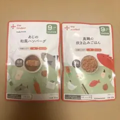 カインデスト 9ヶ月 ２つセット