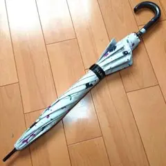 Item thumbnail for item f1187429-0c9f-44a5-a558-f98dbca22e5f