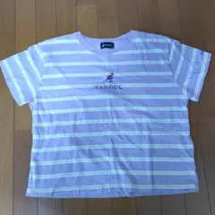 KANGOL 薄紫 ストライプ 半袖Tシャツ