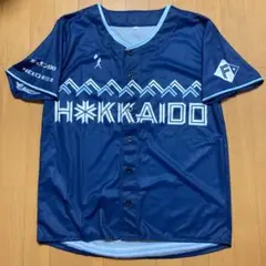日ハムファイターズ　ユニホーム WE LOVE HOKKAIDOシリーズ
