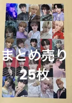 Item thumbnail for item cc095fb9-70bb-401f-b298-52d4f24bc550