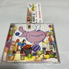 YUI Tribute★SHE LOVES YOU トリビュート