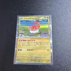 シャリタツ：チャンピオンシップシリーズ 2025 PROMO CLプロモカード