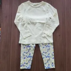 薄い黄色 蝶柄 上下セット