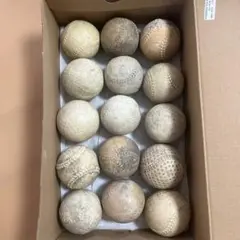 軟式ボール15個セット
