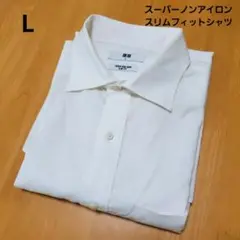 Item thumbnail for item d8dd2112-5636-4a66-8d9a-0f45de26eb3d