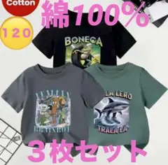 イタリアンブレインロット 綿100% Tシャツ ３枚セット 120 新品