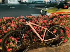 Specialized epic hardtail 2021