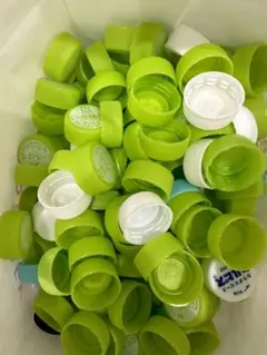 【50個】ペットボトルキャップ　グリーン　自由工作　図工　エコ