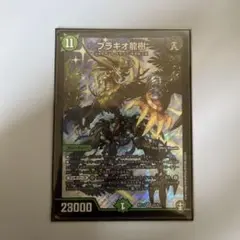 ブラキオ龍樹