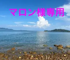 ワイヤークラフトリース『満開』
