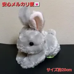 ネザーランドドワーフ タイトー限定 うさぎ ウサギ ぬいぐるみ ④