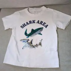 シャーク　Tシャツ