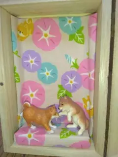 柴犬ボックス　朝顔