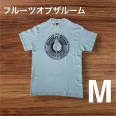 フルーツオブザルーム　Tシャツ　M　スカイブルー　水色　スクリーンスターズ