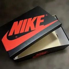 NIKE AIR JORDAN 1 RETRO LOW OG
