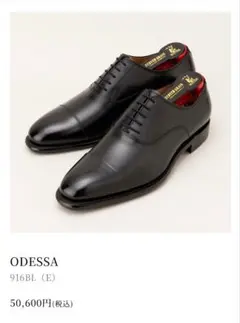 定価50,600円　スコッチグレイン　オデッサ　ODESSA 916BL