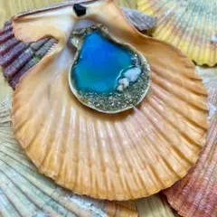 カラフル貝殻　10個セット