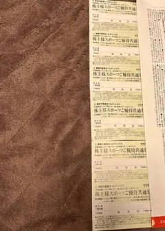 東急不動産ホールディングス 東急スポーツご優待券共通券 6枚 株主優待 ジム