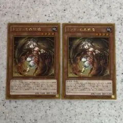 トリオンの蟲惑魔 遊戯王 2枚セット カード