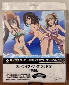 ストライクザブラッド　III プレイマット ストライク・ザ・ブラッドⅢ 姫柊雪菜 ブシロード ラバーマット