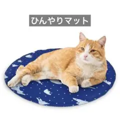 Item thumbnail for item 5d520610-67c1-42db-8e51-ff879dcdfec3