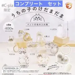 うちの子のけだまだま ガチャ 6種＋c-pla限定2種　全8種コンプリートセット