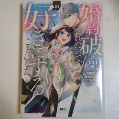 婚約破棄されたので、好きにすることにした。１