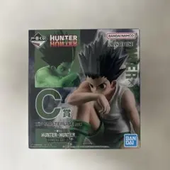 HUNTER x HUNTER ゴン C賞 フィギュア