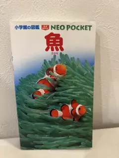 魚 NEO POCKET 小学館