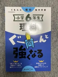 KUMON 数学 G プリント1〜200解答 2003年版公文プリント KUMON 公文 くもん 算数 プリント G 欠番なし 200枚 さんすう