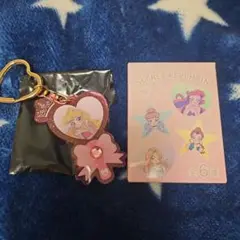 ディズニー プリンセス シークレットキーチェーン オーロラ