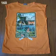 オレンジ Tシャツ 160 SELHOBLL