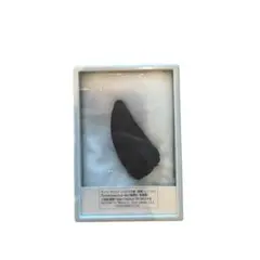 Item thumbnail for item 25ae42f0-f97c-4cf0-8756-7ae623a64cc8
