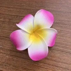 ハイビスカス　ヘアピン