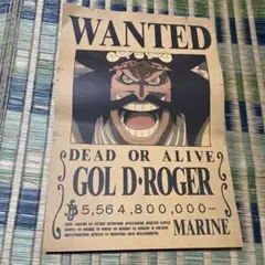 ONE PIECE ゴル・D・ロジャー WANTEDポスター