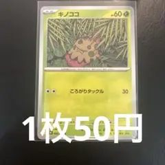 キノココ C