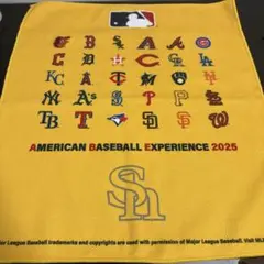 【非売品】メジャーリーグ（MLB）タオル by ソフトバンク　ホークス　即発送