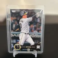 Item thumbnail for item 90b8e1c2-bd59-4839-8856-6b44a318121d