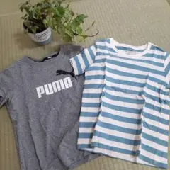 PUMA☆無印の2枚。8/8まで出品(本日最終日)