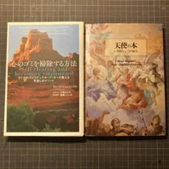 心のゴミを掃除する方法・天使の本