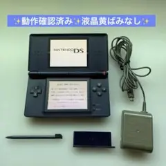 動作確認済み　Nintendo DS lite エナメルネイビー　ニンテンドー