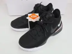 未使用 NIKE ナイキ LEBRON NXXT GEN EP 25cm