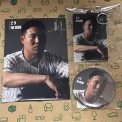 千葉ロッテマリーンズ 西野勇士選手 グッズまとめ売り