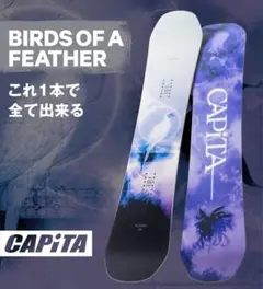 2025年最新】capita birds of a featherの人気アイテム - メルカリ