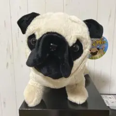 ずっといつでもいっしょパグくん45cm パグ　ぬいぐるみ