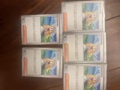 リーリエの決心