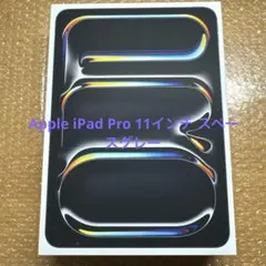 iPad Pro (11インチ) M4 Wi-Fi + Cellular