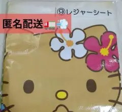 日焼けキティちゃん　レジャーシート　/②　777円→9月中旬までお値下げ再々出品