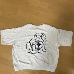 メンズ　スウェット生地半袖　M